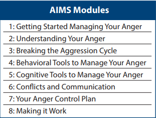 List of AIMS modules
