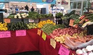 Open air farmers market; fruits and vegetables in bins on tables